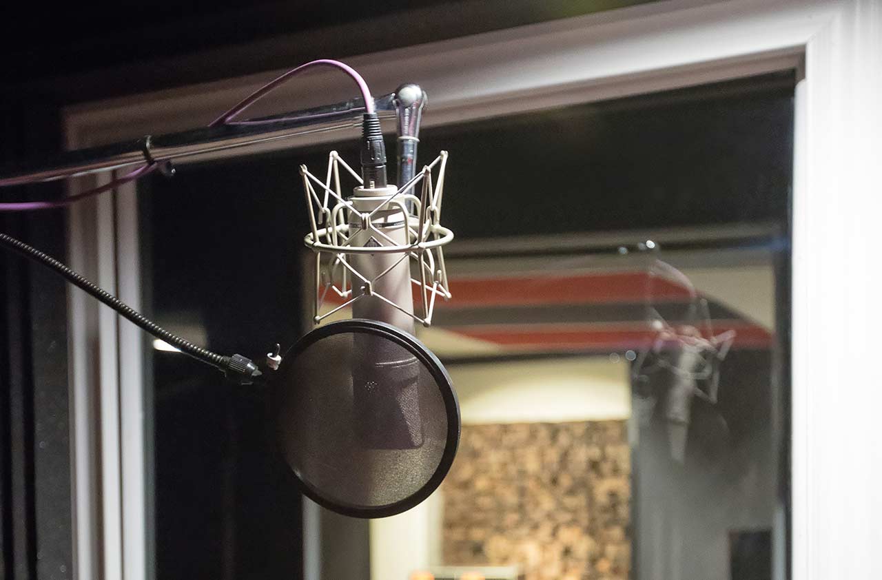 View into the control room from our vocal booth, featuring our Neumann U87 large-diaphragm condenser microphone.